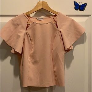 Zara pink top